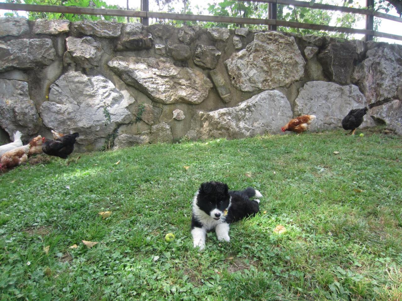 Viviendas El Barrio Cabezon de Liebana Bagian luar foto